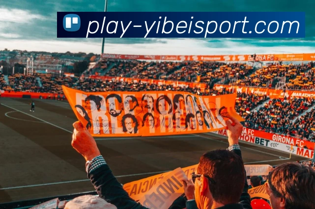 App Interface Preview