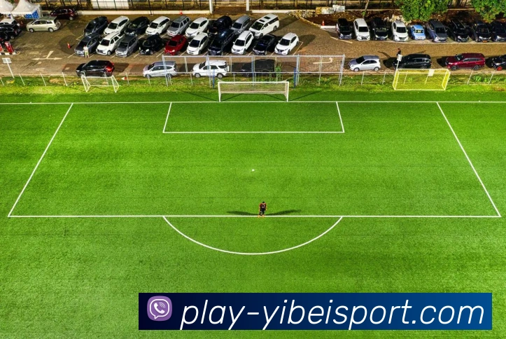 易倍体育APP 封面图